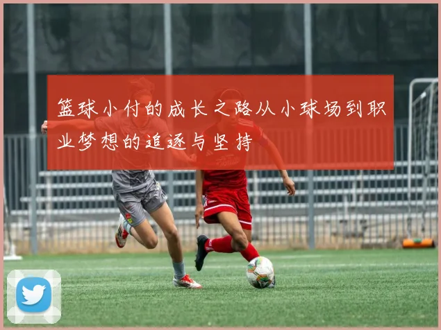 篮球小付的成长之路从小球场到职业梦想的追逐与坚持